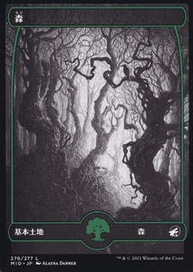 MTG ■土地/日本語版■ 《森/Forest》イニストラード真夜中の狩り MID