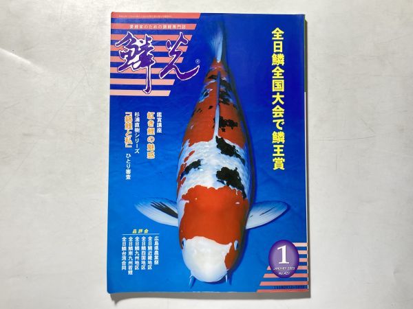 2025年最新】Yahoo!オークション -錦鯉(本、雑誌)の中古品・新品