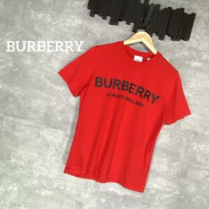 『BURBERRY』バーバリー (S) クルーネック半袖Tシャツ
