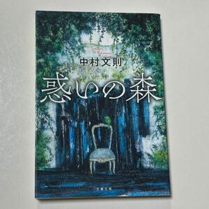 惑いの森 （文春文庫　な６９－２） 中村文則／著