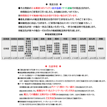 SP2305 シルバー 22.0cm ムーンスター スポルス レディース ウォーキングシューズ 靴 4E 月星 MOON STAR 婦人_画像8