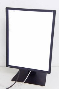 2 EIZO エイゾー 21.3型 カラー液晶モニター RadiForce RX250 使用時間46318H