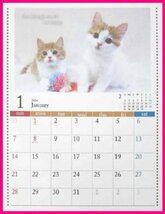 【1冊:2024年:壁掛け カレンダー:可愛い 子猫・猫】★A4 30x21cm：ねこ ネコ 仔猫★暦・こよみ：12面タイプ_画像2