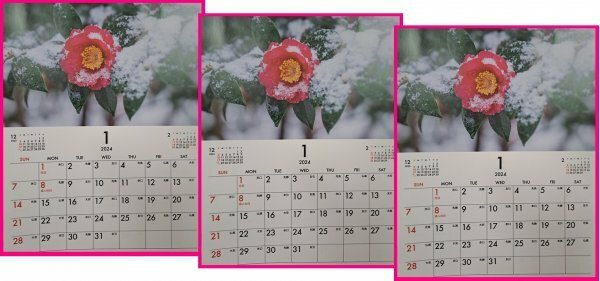 【送料無料:3冊:壁掛け カレンダー 2024年 30x21㎝ A4】★綺麗な「花・フラワー」★暦・こよみ：12面
