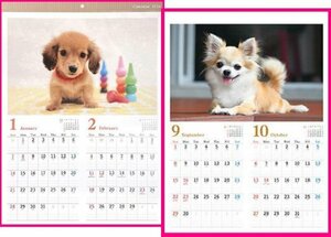 【送料無料：2冊:大きな カレンダー 2024年:犬:大きな サイズ:A2】★可愛い 子犬:No2★60x42cm：仔犬 いぬ イヌ：壁掛け こよみ 暦:No2