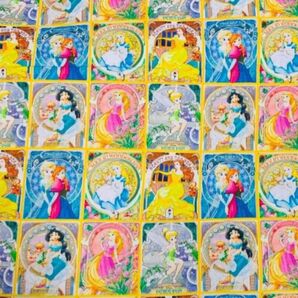 C47 プリンセスパネル柄 コットン100% 綿生地