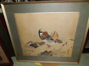 Art hand Auction Y801 Vogelbild mit Signatur, Künstler unbekannt, Kunstwerk, Malerei, Andere