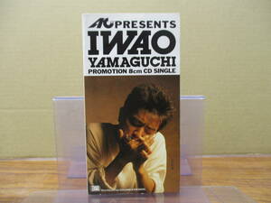 RS-5137【8cm シングルCD】非売品 プロモ / IWAO YAMAGUCHI PROMOTION 山口岩男 / TD-8017