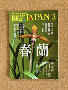 園芸JAPAN 2020年3月号　春蘭 富貴蘭 長生蘭 ※ 自然と野生ラン