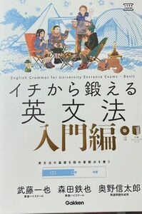 イチから鍛える英文法　入門編 （大学受験ＴＥＲＩＯＳ） 武藤一也／著　森田鉄也／著　奥野信太郎／著