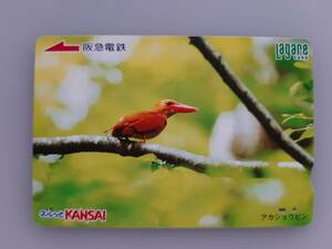 【使用済】 鳥　アカショウビン　ラガールカード　スルッとKANSAI　阪急電鉄