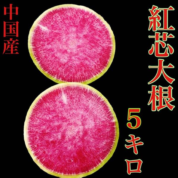 中国産　紅芯大根　箱込み5キロ弱　約5個から10個　送料無料