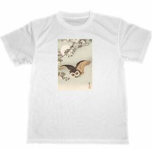 小原古邨　フクロウ　梟　ドライ　Tシャツ　名画　絵画　グッズ　アニマル