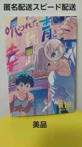 東京卍リベンジャーズ 同人誌「呪われた青と幸せの軌跡」白玉精米所 白玉おむすび マイ武 佐野万次郎×花垣武道 小説