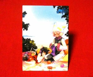 東方雅華乱舞Trading Card　カードトレカ　藍＆橙　GA5093P