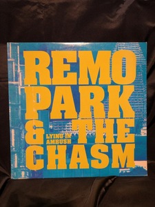 REMO PARK & THE CHASN / lying in ambush LP WHAT'S SO FUNNY ABOUT
