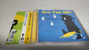Y3197　 『CD』　槇原敬之　/　Are You OK?　帯付　シングル　音声確認済