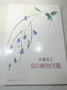  my plant illustrated reference book Sato . Hara work arrow . paper . Showa era 52 year 1. postage 300 jpy [a-4669]