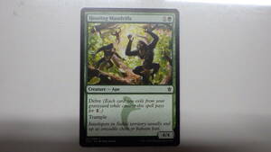 MTG　わめき騒ぐマンドリル　Hooting Mandrills　レア　英語版　1枚　マジック・ザ・ギャザリング　美品