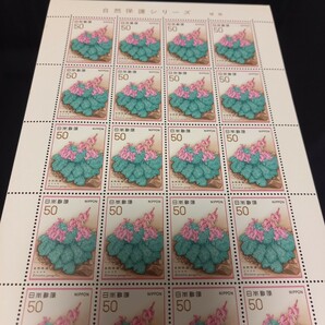 【 自然保護 】 切手シート 植物 コマクサ 未使用 郵便切手 昭和の画像2