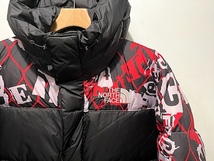 新品 正規品 EU/USA限定 日本未発売 The North Face ノースフェイス ヒマラヤン ダウンパーカー フード付 ダウンジャケット US-S_画像2