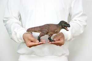 Rebor 1/35 サイズ ティラノサウルス Tレックス KISS&TUSK T-REX 恐竜 フィギュア おもちゃ 模型 PVC プレゼント プレミアム 36.8cm級 紫