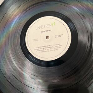 オランダジャズ名盤 beboppin' fernando povel limetree LPレコードの画像4