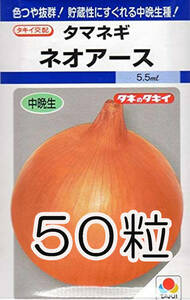 ネオアース　50粒　種　種子　　野菜　　家庭菜園　玉ねぎ　タマネギ