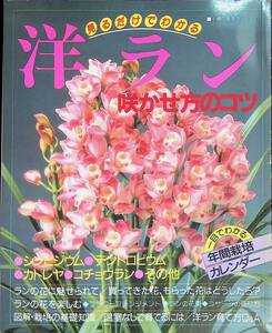 見るだけでわかる　洋ラン、咲かせ方のコツ　年鑑栽培カレンダー　主婦の友社　平成2年1月 YB230919M1