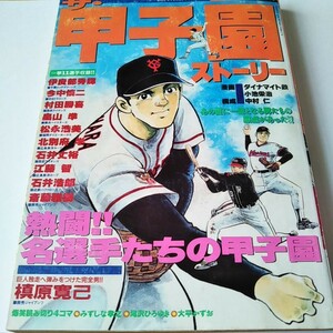 ザ・甲子園ストーリー VOL.6 漫画 マンガ 本 雑誌 プロ野球 槙原寛己 伊良部秀樹 今中慎二 北別府学 石井丈裕 斎藤雅樹 松永浩美 石井浩郞 