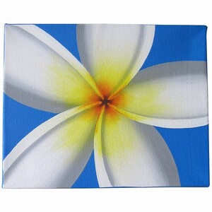  plumeria. .25X20 blue [ mail service OK][ resort modern art burr art flange pani flower. .]YSA-240030