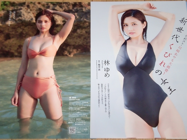 2023年最新】ヤフオク! -林ゆめの中古品・新品・未使用品一覧