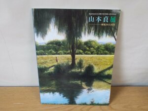 【図録】第22回安田火災東郷青児美術館大賞受賞記念 山本貞展 凝視された光景 1999