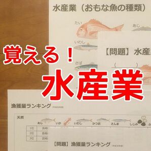 【期間限定特価】水産業