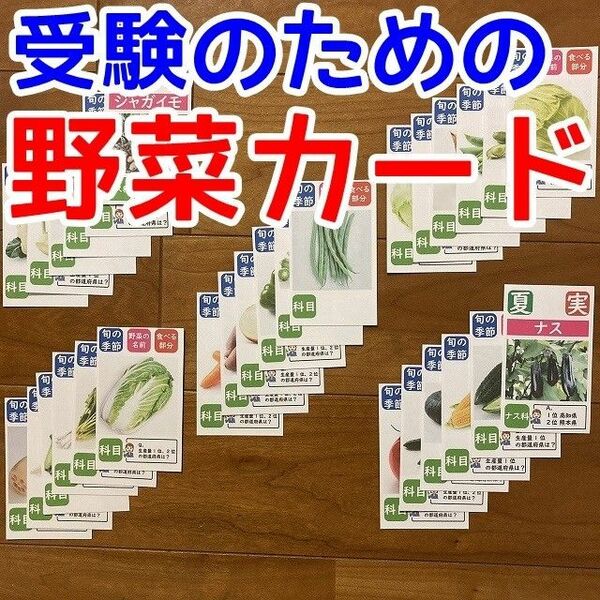 【期間限定特価】野菜カード