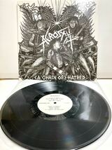 US盤 (A Chain Of) Hatred / Acrostix アクロスティックス 【LPアナログレコード】 Japanese Hardcore Punk_画像3