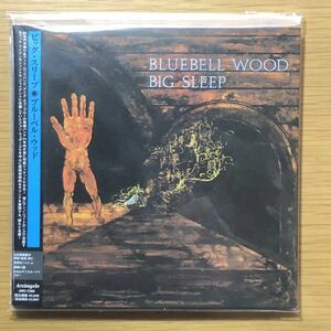 ビッグ・スリープ BIG SLEEP / ブルーベル・ウッド BLUEBELL WOOD【紙ジャケット仕様】