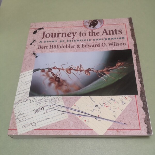 ◎蟻の英語本　Journey to the Ants: A Story of Scientific Exploration英語版