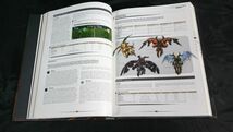 【英語版】『KINGDOMS OF AMALUR Reckoning(キングダムズ オブ アマラー レコニング) the Official Guide(攻略ガイド)』2012年_画像6