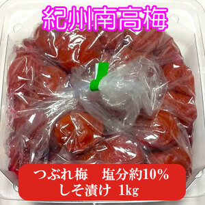 紀州南高梅　つぶれ梅　しそ梅　1kg　梅干し　訳あり　完熟梅　減塩梅