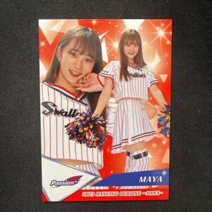 BBM 2023 プロ野球　チアリーダー　東京ヤクルトスワローズ　Passion MAYA