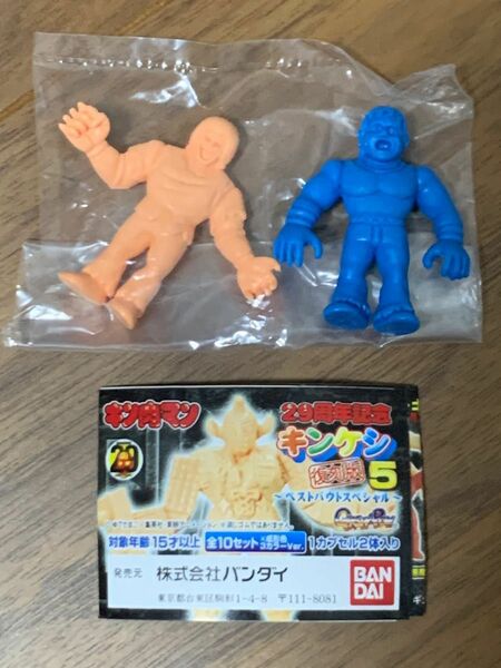 キン肉マン キンケシ 復刻版5 ベストバウトスペシャル ウォーズマンB・テリーマン