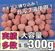 筏釣り、釣り堀におすすめ！自作オキアミ団子大容量300g_画像1