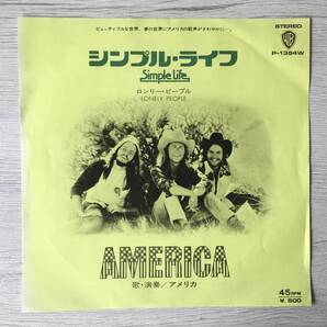 AMERICA SIMPLE LIFE