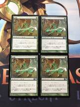 【MTG】《怨恨/Rancor》[基本セット2013/M13] [日/JPN] 4枚セット_画像1