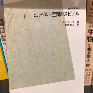 ヒルベルト空間のスピノル