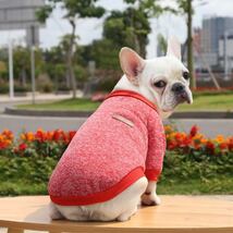 【超暖かい】犬服　セーター　ニット　ペット　小型犬　猫　防寒　秋冬　抜け毛防止　レッド　Mサイズ_画像5