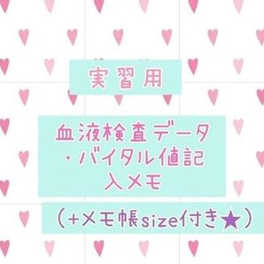 ★検査値・バイタル測定値記入メモセット★