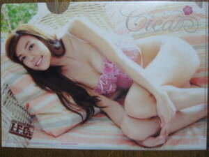  clear file Cica (a979-4)