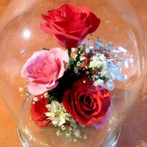 i568 薔薇 バラ 造花 ハンドクラフト インテリア 飾り 置物 ８本 ガラスドーム サイズ:直径約19cm 高さ約24cm/100_画像3